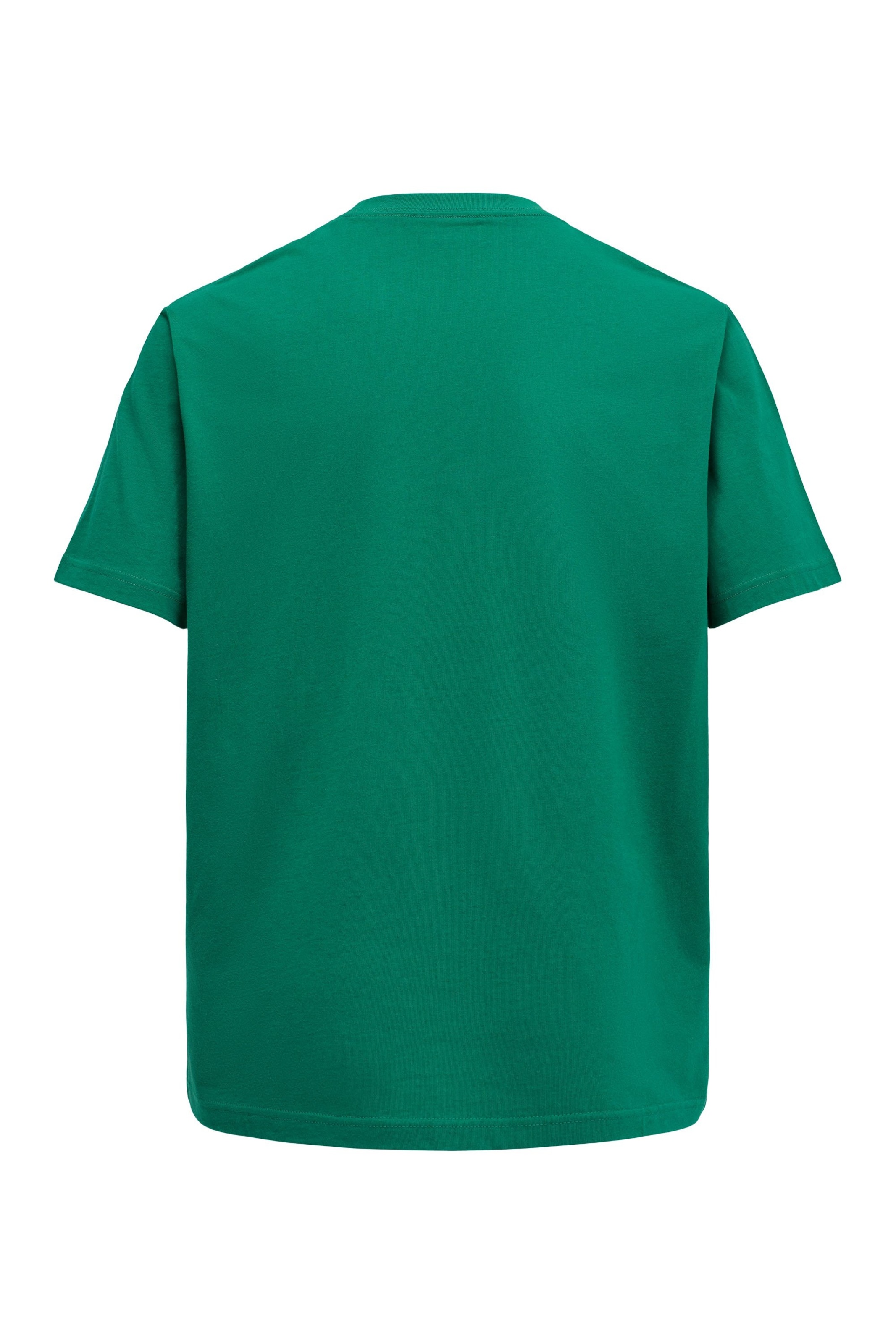 Salsa Jeans Shirt in Green