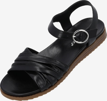 Sandales à lanières 'Ovuh' Palado en noir : devant