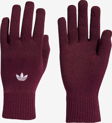 Mezzoguanti 'Adicolor' di ADIDAS ORIGINALS in rosso: frontale