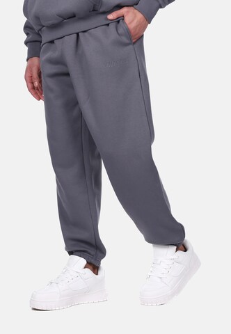 Dropsize Loose fit Pants in Grey