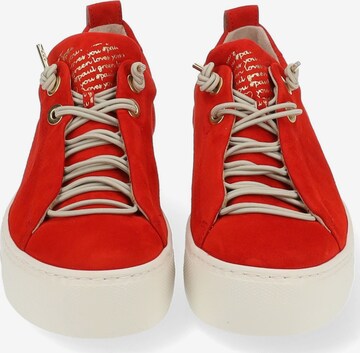 Sneaker bassa di Paul Green in rosso