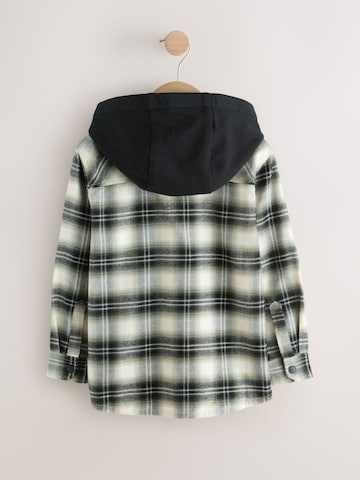 Next Between-Season Jacket in Green