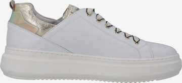 Nero Giardini Sneaker 'E115261D' in Weiß