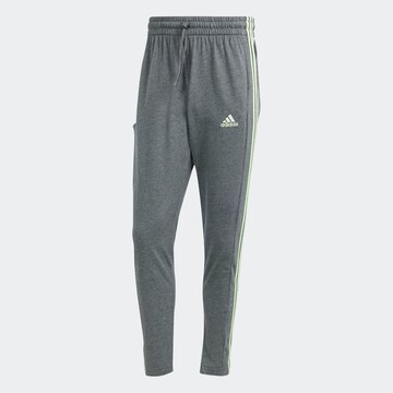 ADIDAS SPORTSWEAR Slim fit Workout Pants in Green