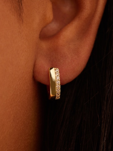 Lucardi Earrings in Gold: front