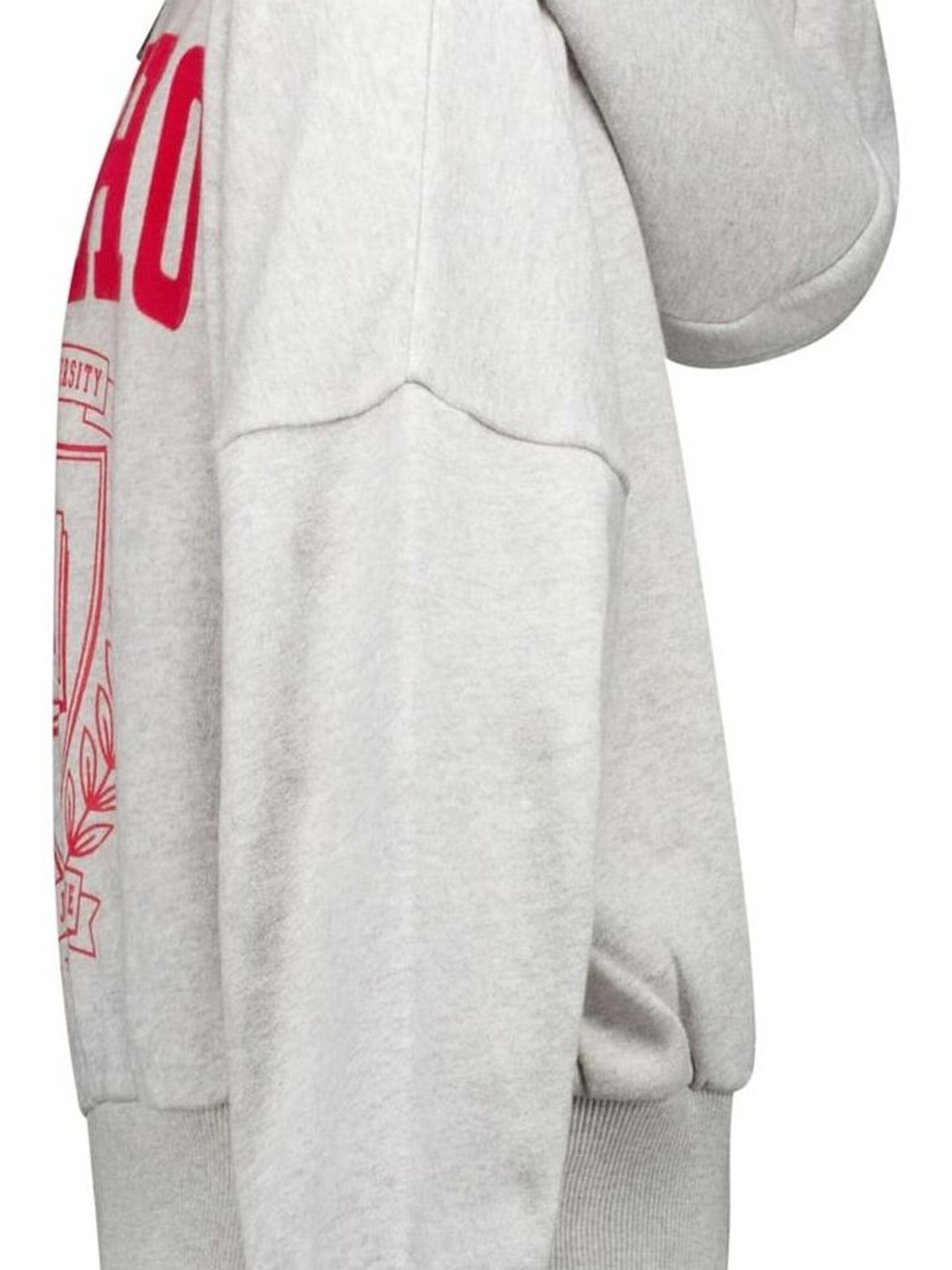 CARS Sweater in Grey