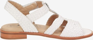 SIOUX Sandals ' Cosinda-702 ' in White