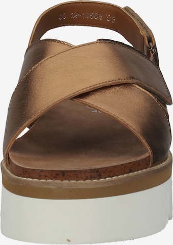 ARA Sandals in Brown