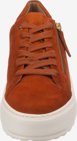 GABOR Sneakers in Braun