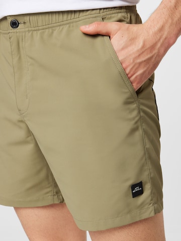 O'NEILL Regular Shorts in Grün