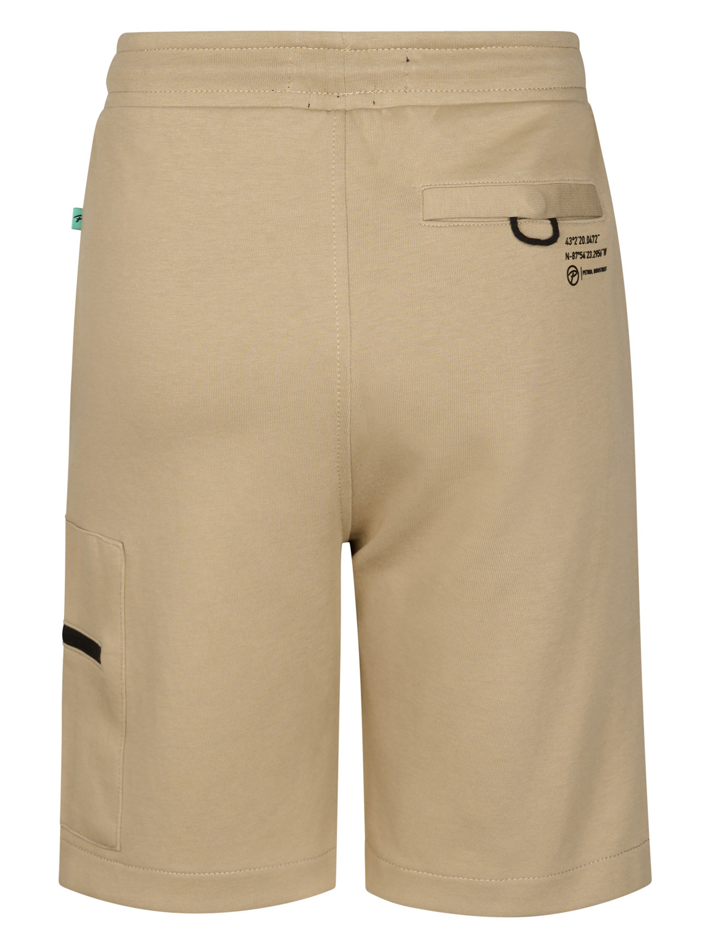 Regular Pantalon 'Pacifico' Petrol Industries en beige