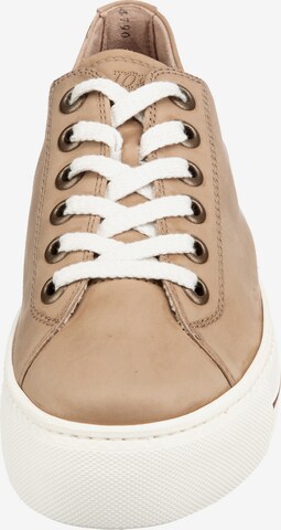 Paul Green Sneakers in Brown