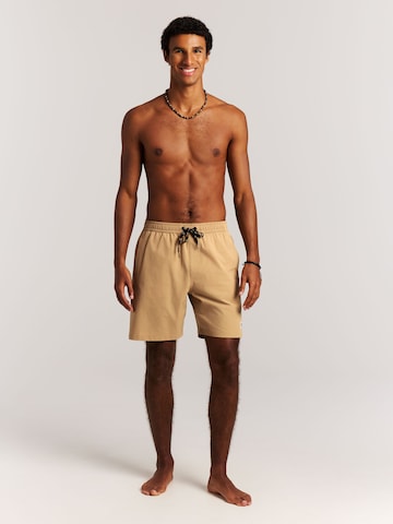 PROTEST Board Shorts 'PRTBaky' in Brown