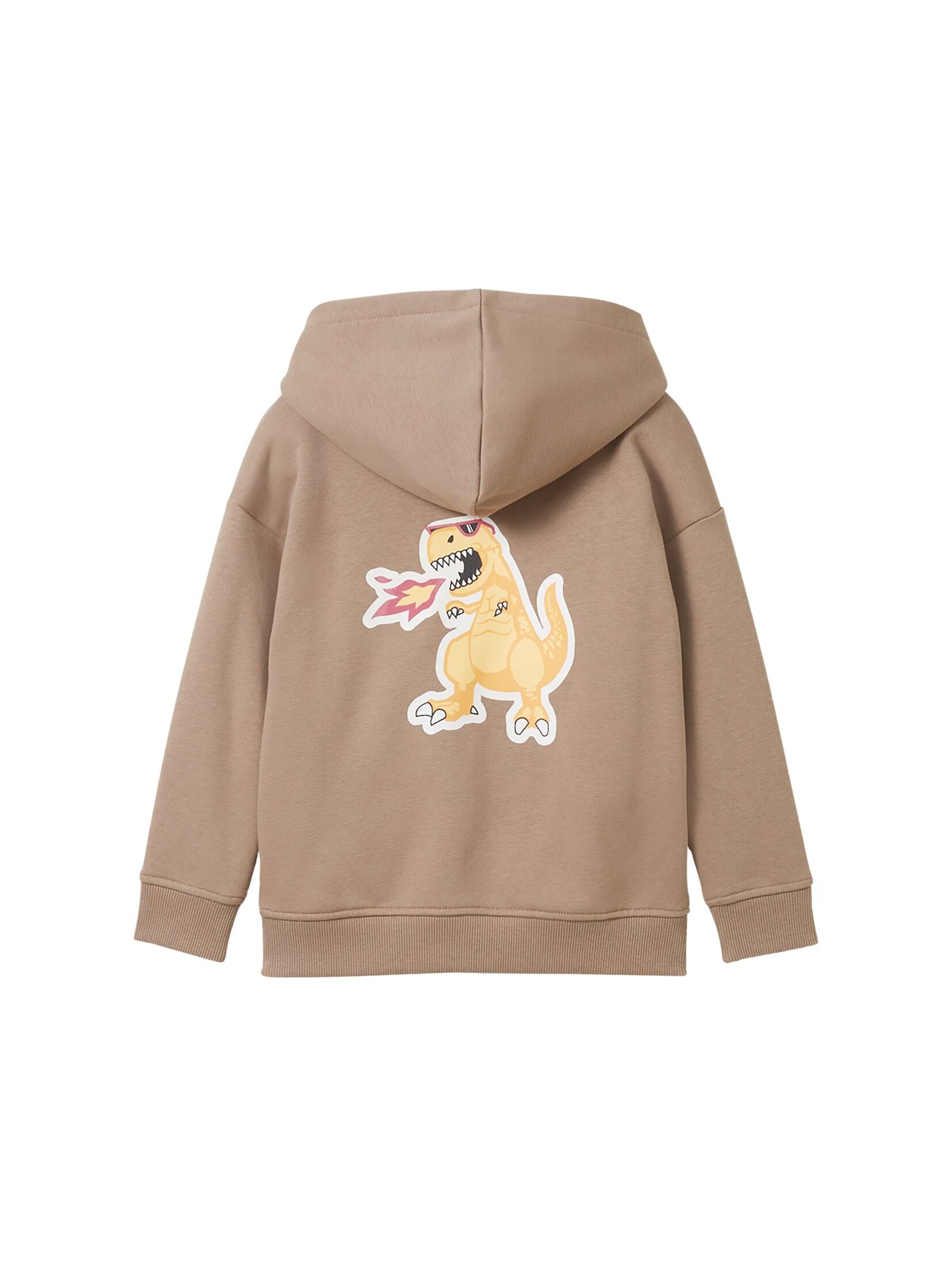 TOM TAILOR Sweatshirt in Braun