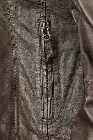 7ELEVEN Lederjacke 'SEEviana' in Dunkelbraun ABOUT YOU