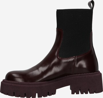 ANGULUS Chelsea Boots in Rot