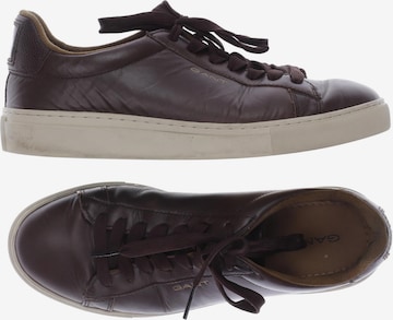 GANT Sneakers & Trainers in 41 in Brown: front
