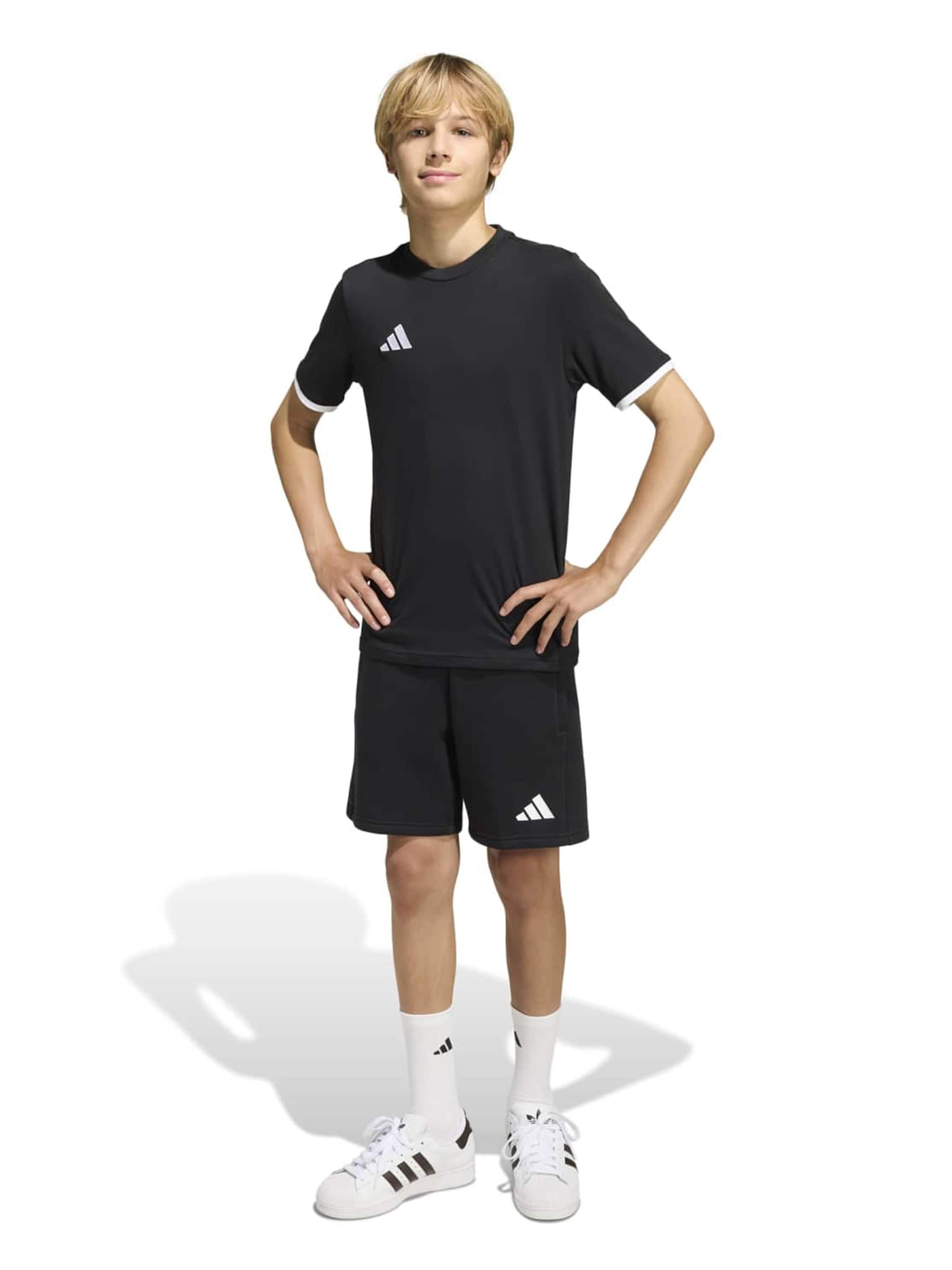 ADIDAS PERFORMANCE - regular Pantalón deportivo 'ENT26' en negro