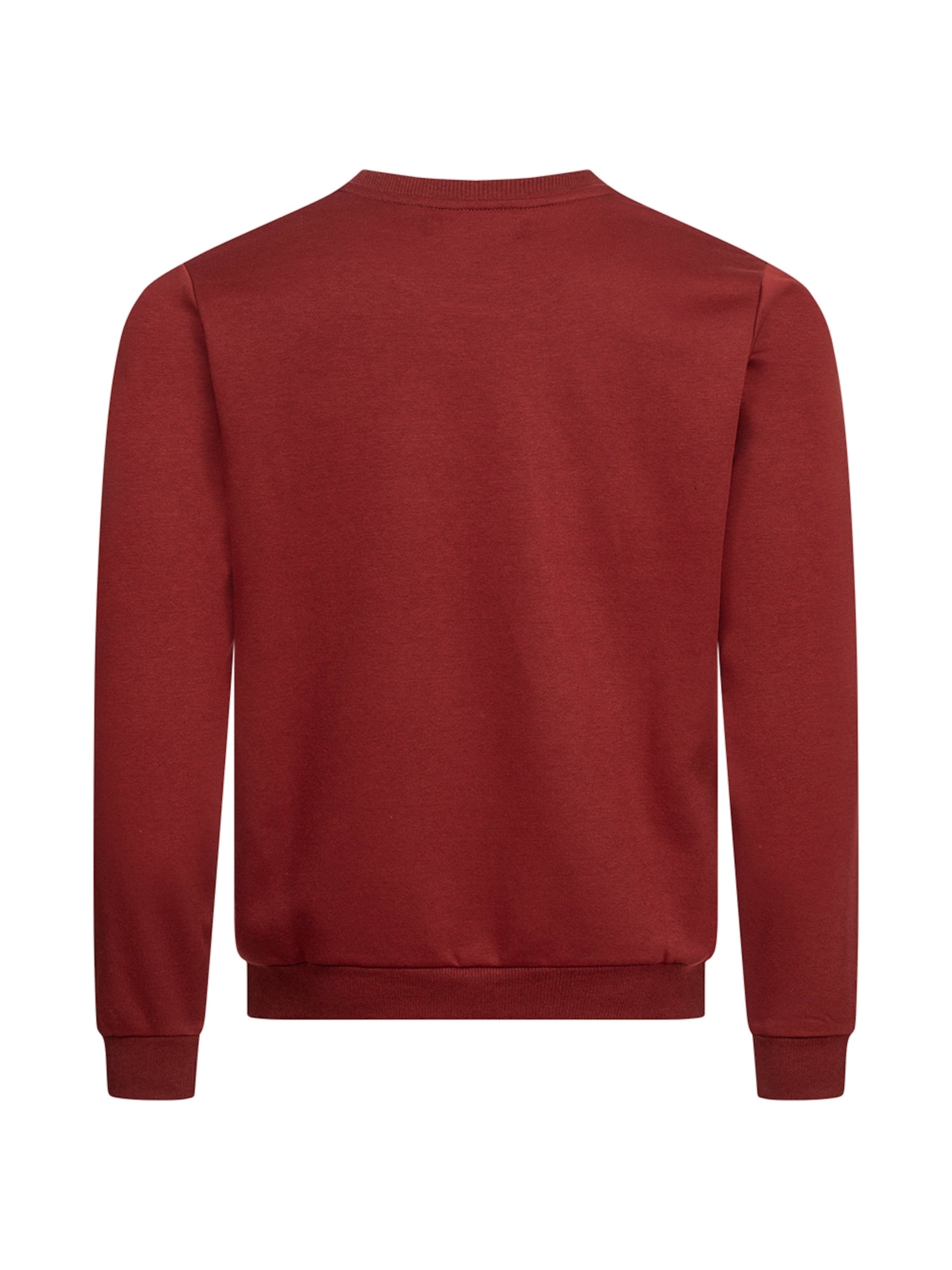 PIERRE CARDIN Sweatshirt in Rood