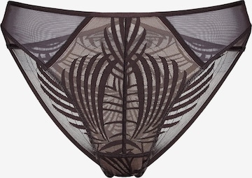 ESOTIQ - Panti 'Slip Nacre, feine Spitze, mit Baumwollzwickel, normale Leibhöhe' en marrón: frente
