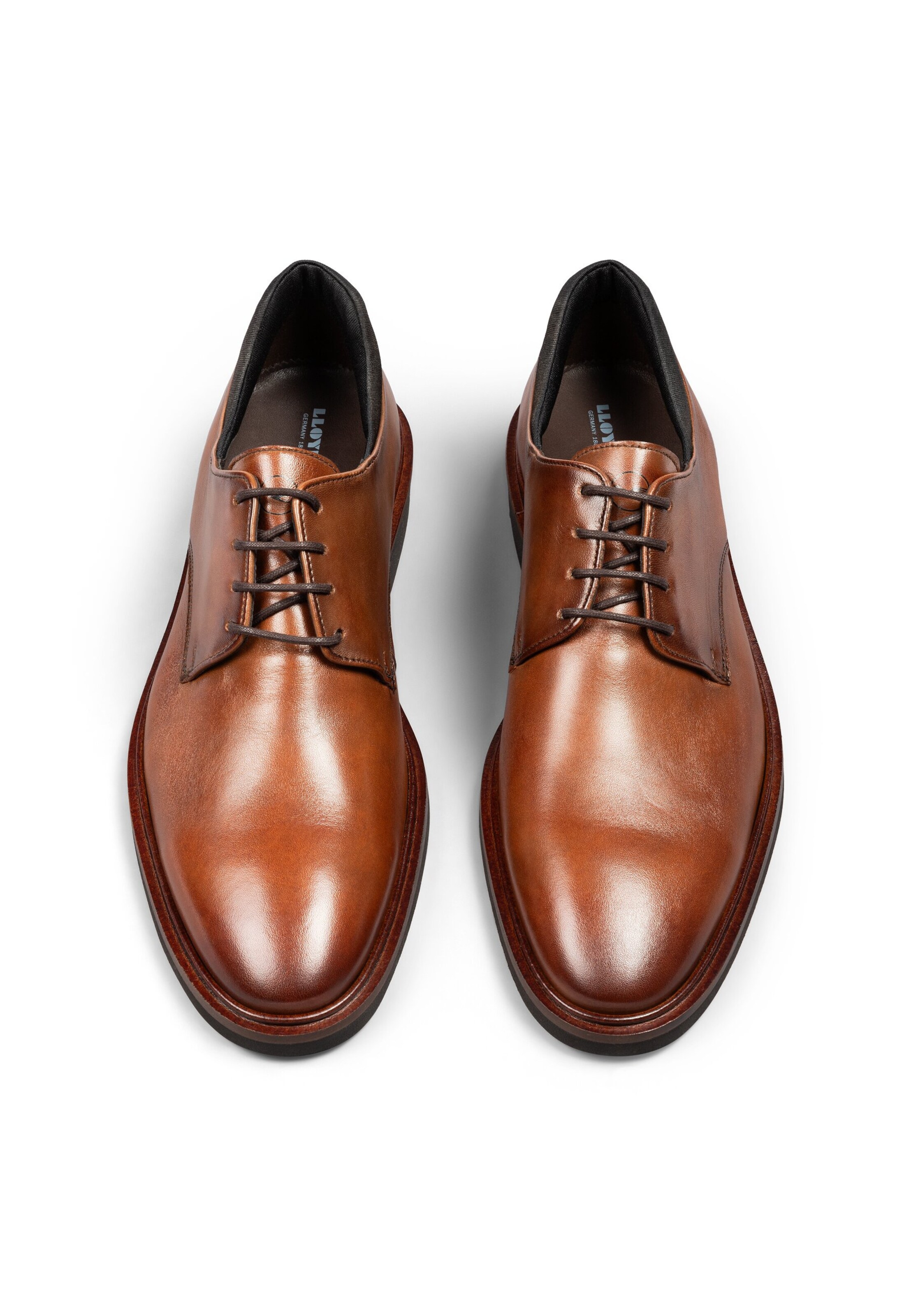 LLOYD Lace-Up Shoes in Brown
