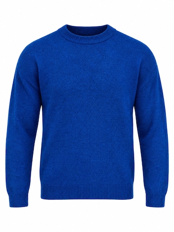 Grimelange Sweater 'Pullover' in Blue: front