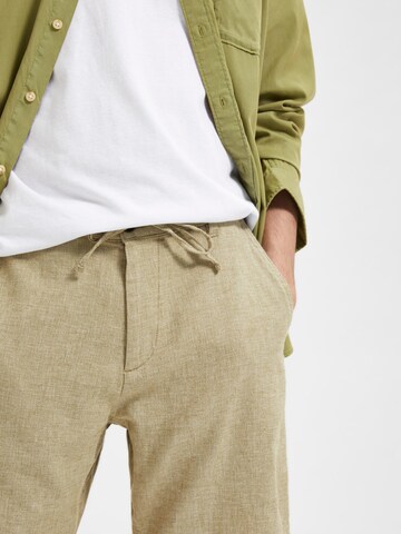 SELECTED HOMMEregular Chino hlače 'Brody' - zelena boja
