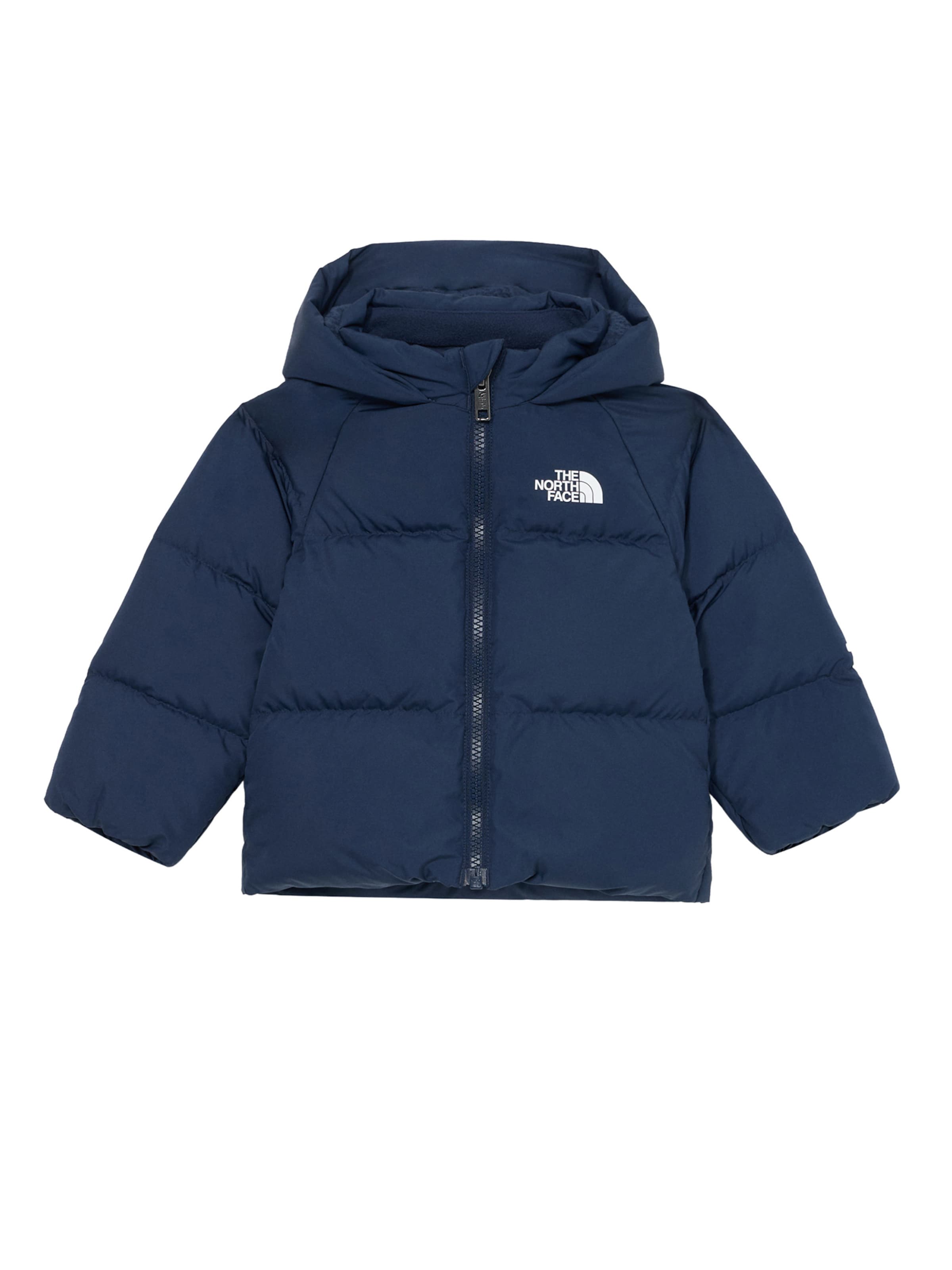 Giacca per outdoor di THE NORTH FACE in blu: frontale