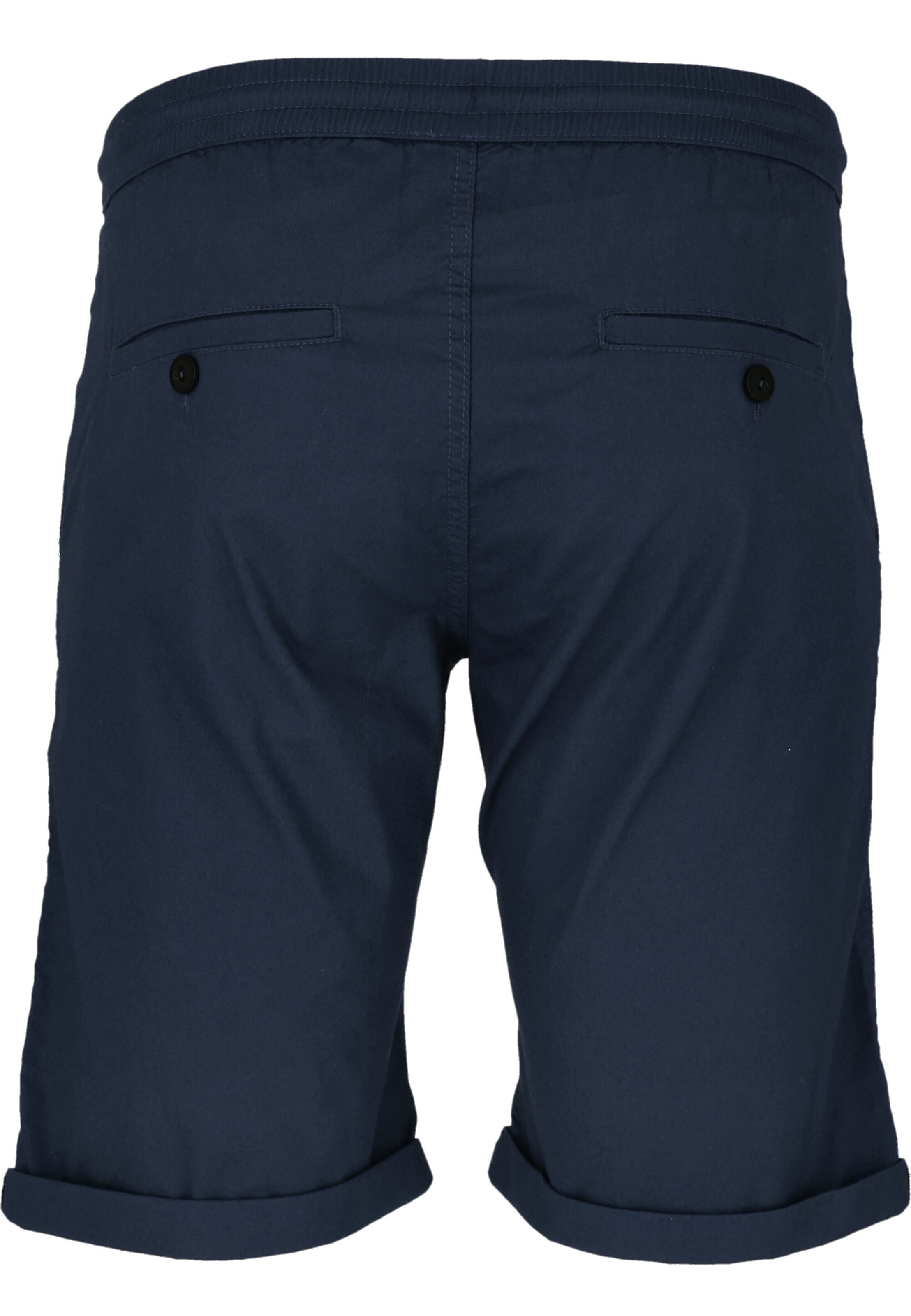 Cruz Regular Shorts 'Gilchrest' in Blau