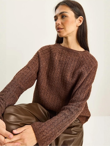 Bianco Lucci - Pullover em castanho