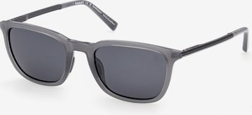 Lunettes de soleil TIMBERLAND en gris : devant
