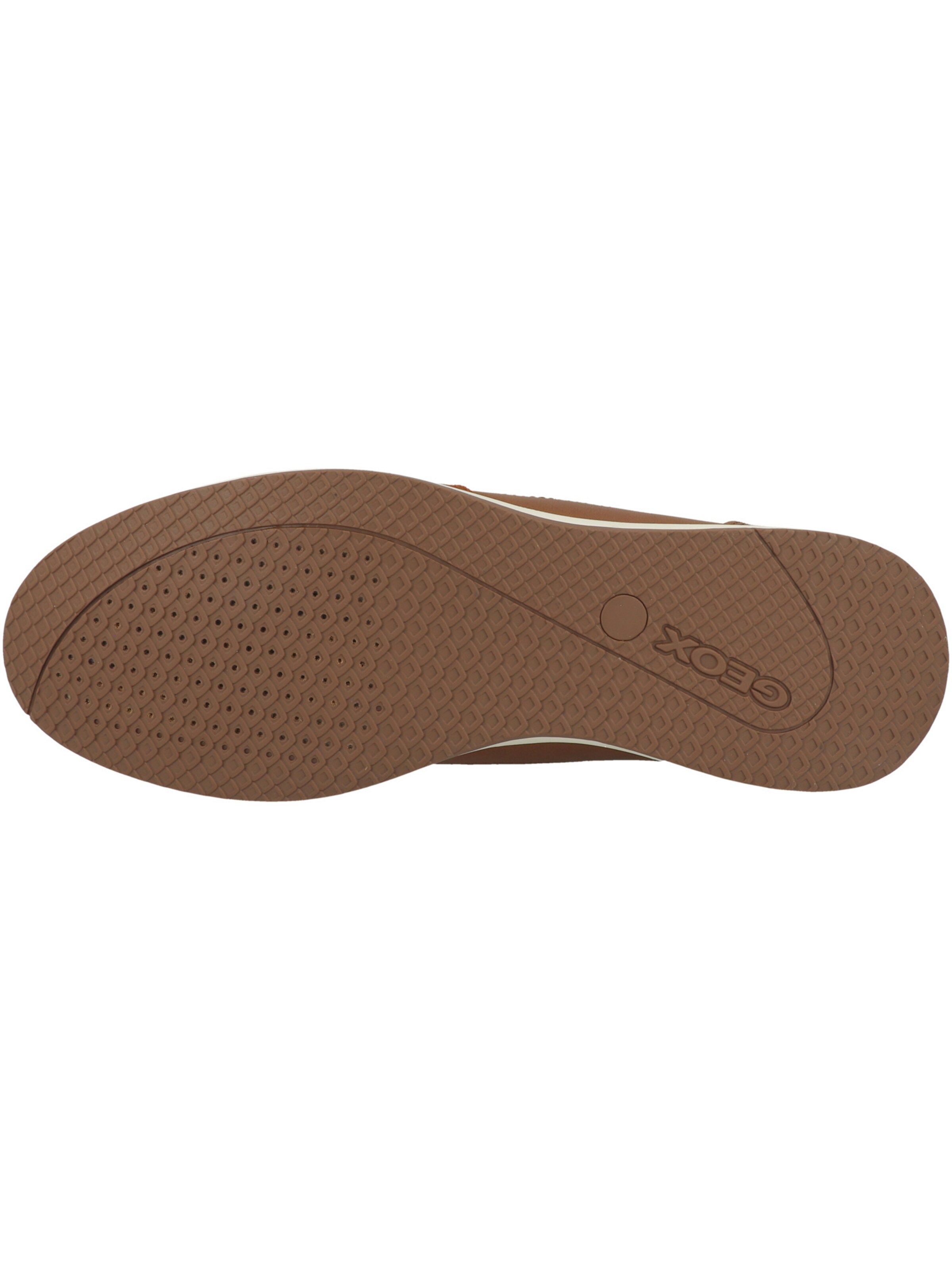 Scarpa stringata sportiva 'U Avery A' di GEOX in marrone
