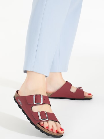 Bayton Mules 'Atlas' in Red: front