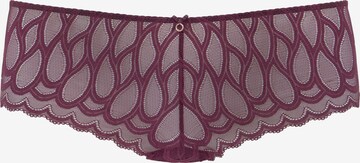 LASCANA Panty in Purple: front