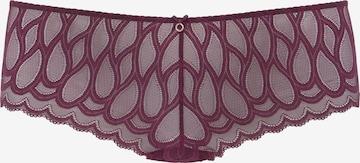 LASCANA Boyshorts in Purple: front