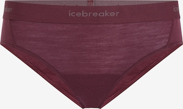 ICEBREAKER Sportovní spodní prádlo 'Cool-Lite' – červená: přední strana