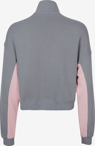 O'NEILL Sweatshirt i grå