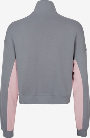 O'NEILL Sweatshirt in Grau