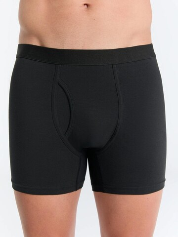 Albero Natur Boxer shorts in Black
