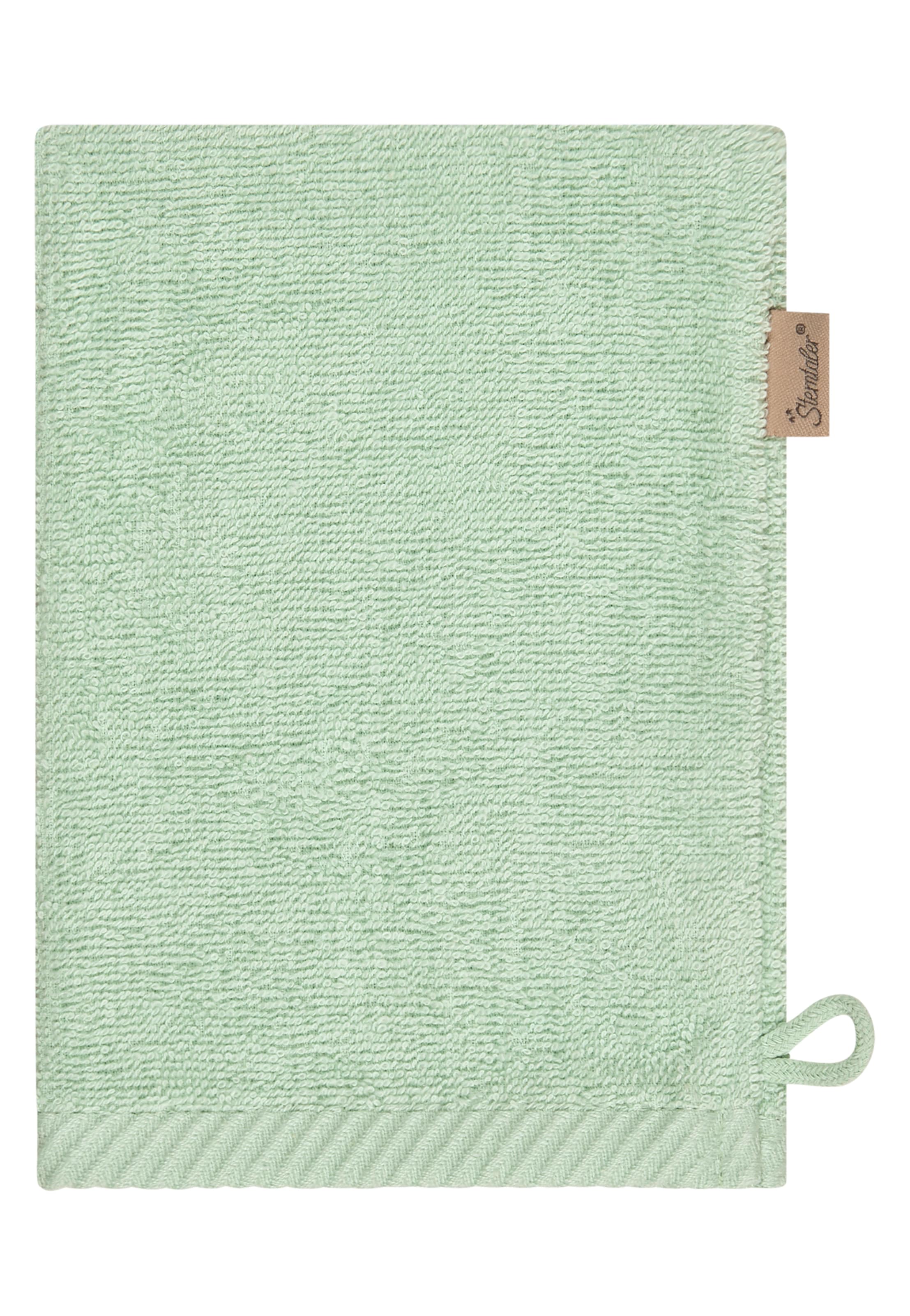 STERNTALER Waschlappen 'BÄR Bo' in Grün