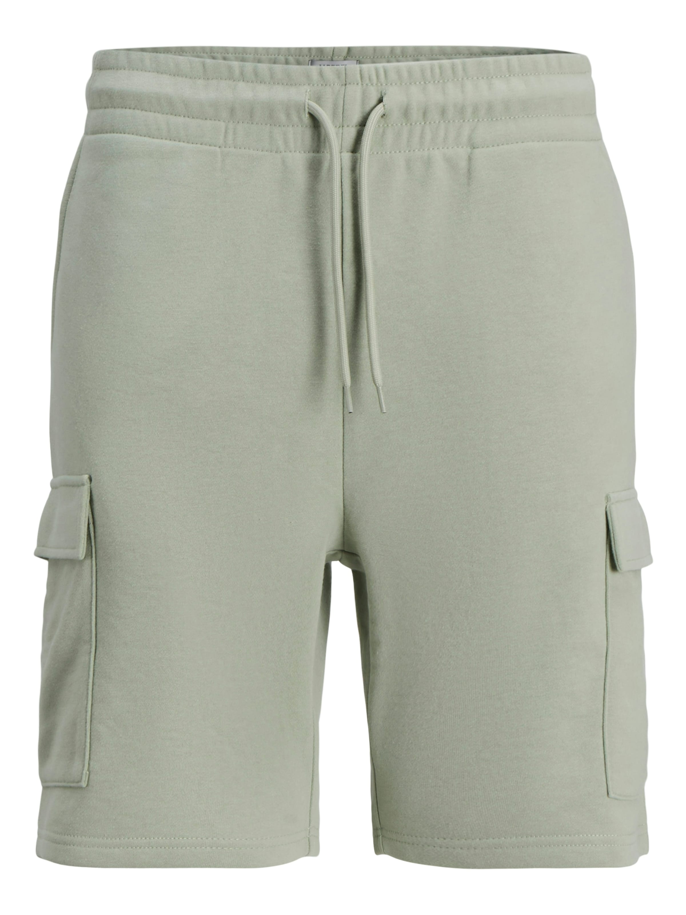 Regular Pantalon cargo 'JREBGORM' JJ Rebel en vert : devant