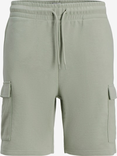 Laisvo stiliaus kelnės 'JREBGORM' iš JJ Rebel, spalva – pastelinė žalia, Prekių apžvalga