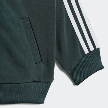 ADIDAS ORIGINALS Regular Träningsoverall 'Adicolor' i grön