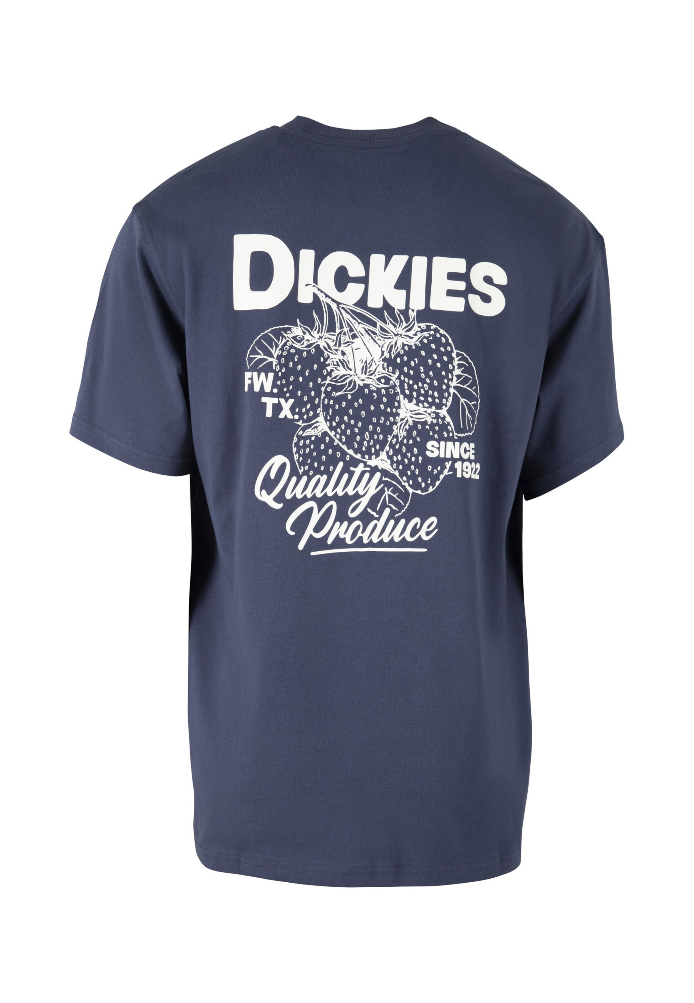 Maglietta 'Berryfield' di DICKIES in blu: dietro