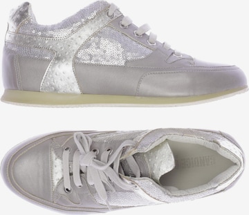 Candice Cooper Sneakers & Trainers in 38 in Grey: front