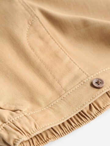 regular Pantaloni di Next in marrone