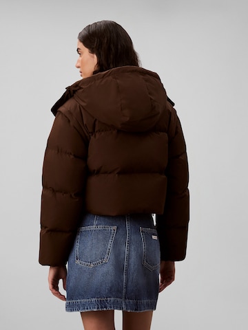 Calvin Klein Jeans Regular Jacke in Braun