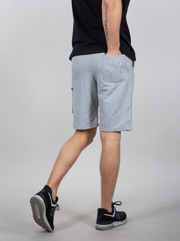 ALPHA INDUSTRIES Regular Shorts in Grau