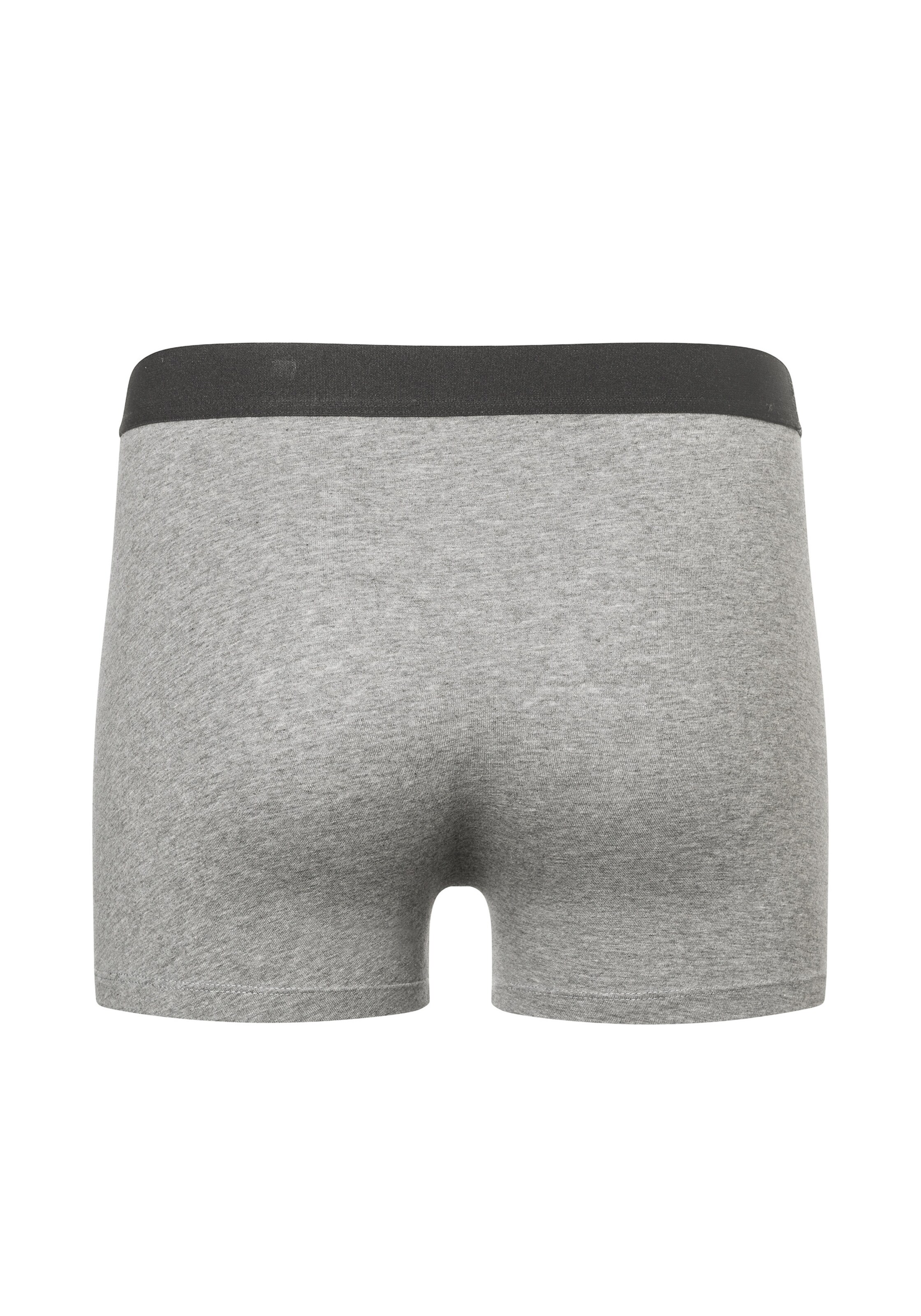 camano Boxer shorts in Grey
