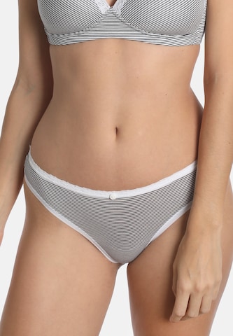 sassa Thong 'STRIPE RANGE' in White: front